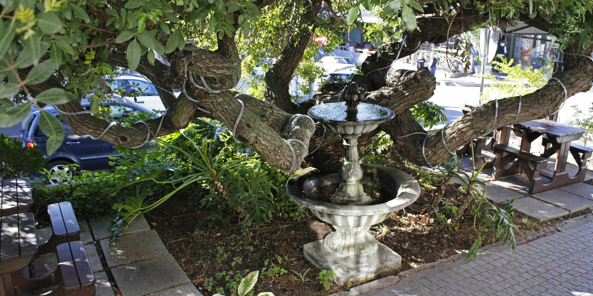 Dixon House In De Waterkant By Cape Finest Fokváros Kültér fotó
